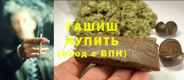 прущие грибы Балахна