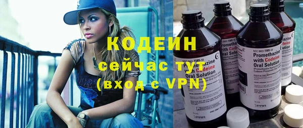 прущие грибы Балахна