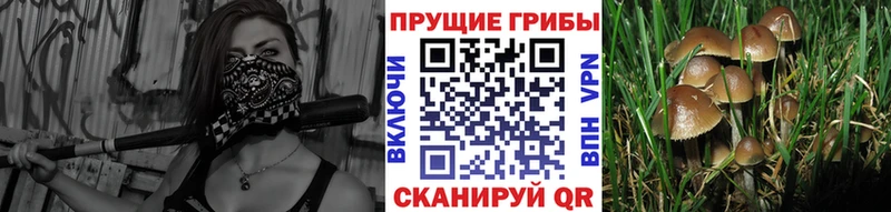 Псилоцибиновые грибы ЛСД Саяногорск